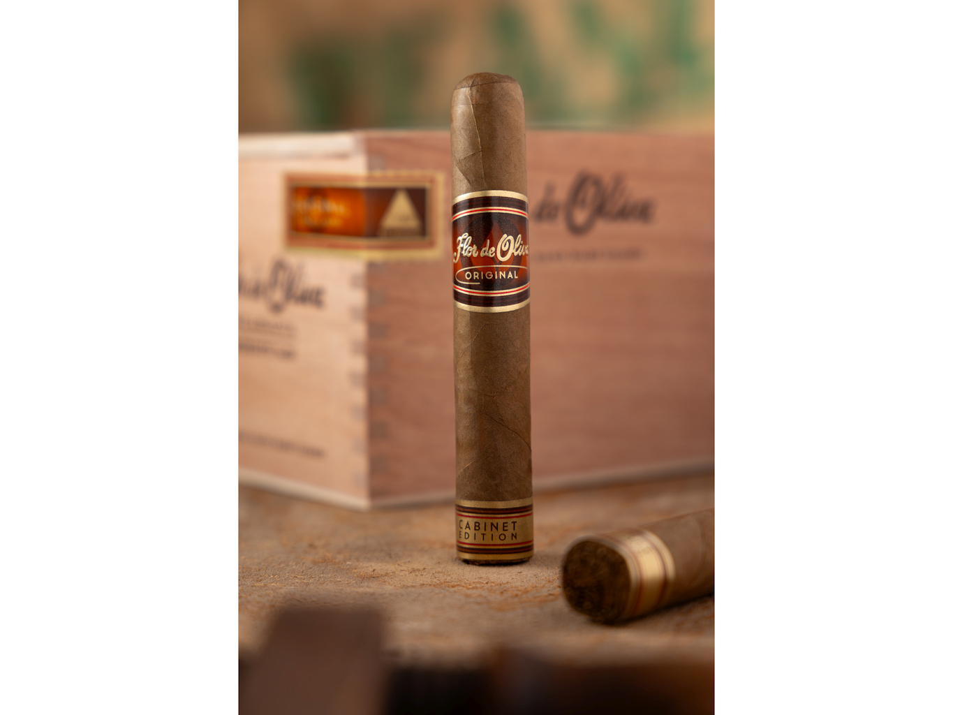 Flor de Oliva Original Zigarre einzeln mit Kiste Stimmung